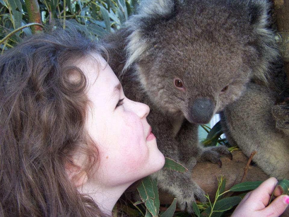 Lavers Hill Fauna Australia Wildlife Retreat מראה חיצוני תמונה