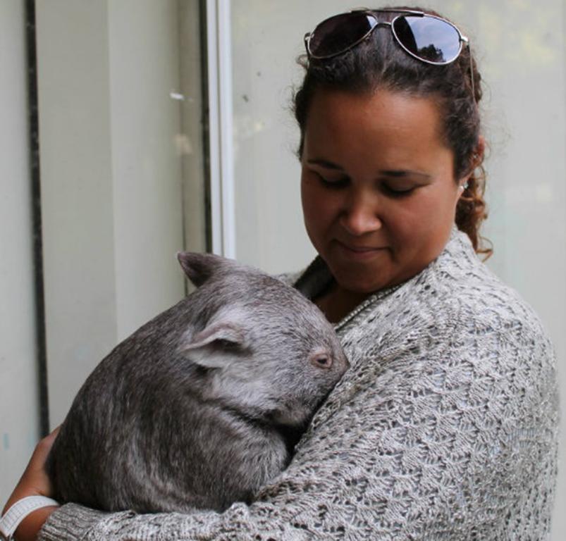 Lavers Hill Fauna Australia Wildlife Retreat מראה חיצוני תמונה