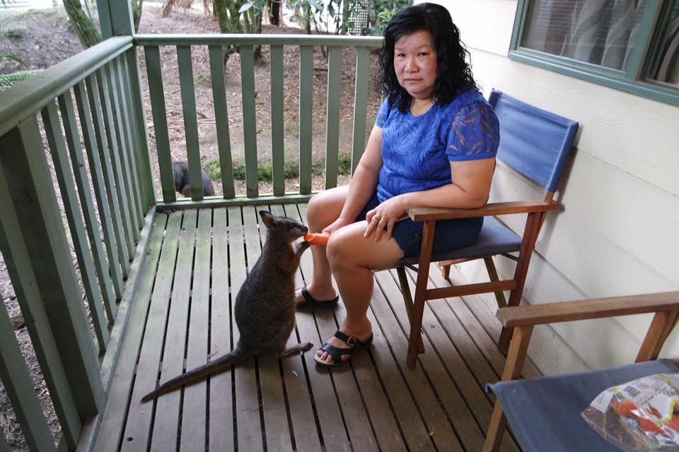 Lavers Hill Fauna Australia Wildlife Retreat מראה חיצוני תמונה