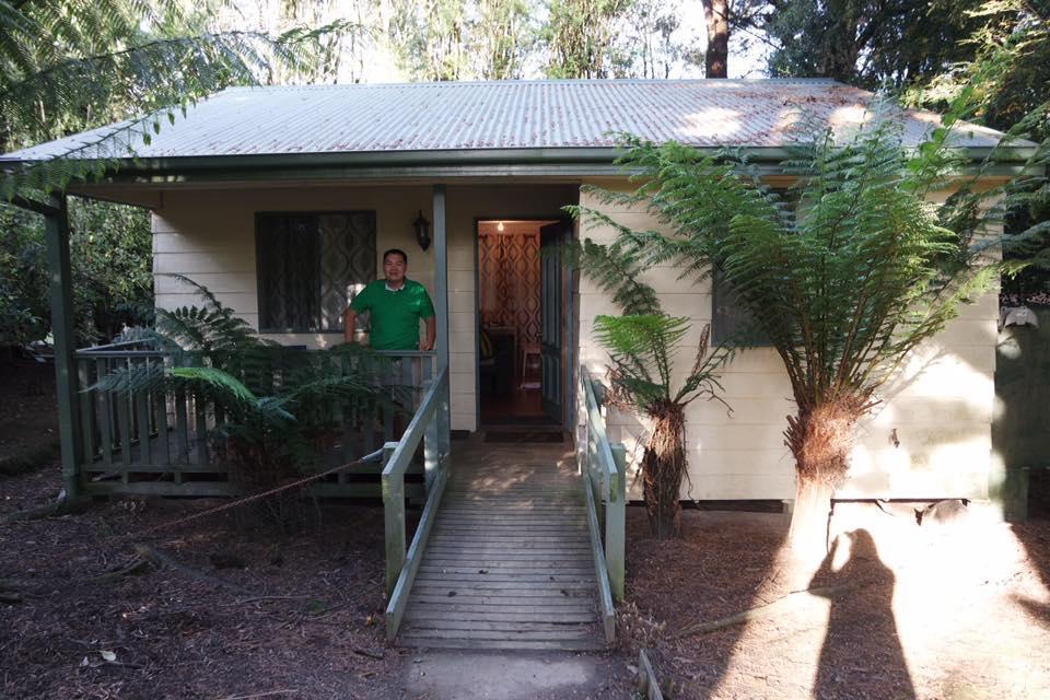 Lavers Hill Fauna Australia Wildlife Retreat מראה חיצוני תמונה
