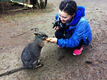 Lavers Hill Fauna Australia Wildlife Retreat מראה חיצוני תמונה