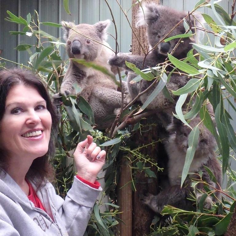 Lavers Hill Fauna Australia Wildlife Retreat מראה חיצוני תמונה