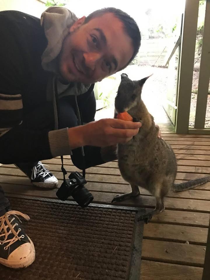 Lavers Hill Fauna Australia Wildlife Retreat מראה חיצוני תמונה