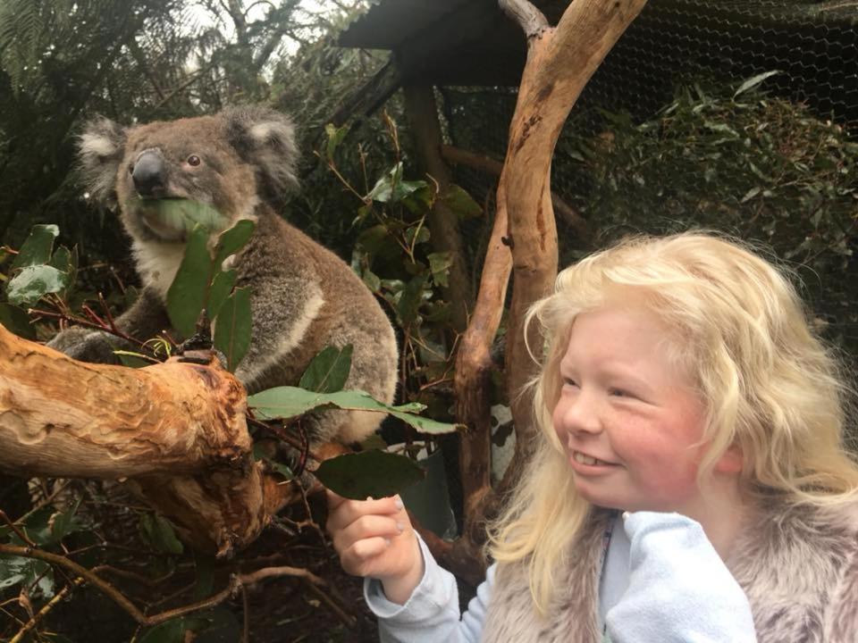 Lavers Hill Fauna Australia Wildlife Retreat מראה חיצוני תמונה